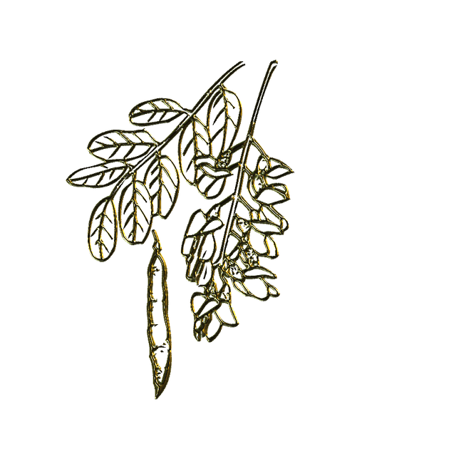 MS-gold-element-76.png
