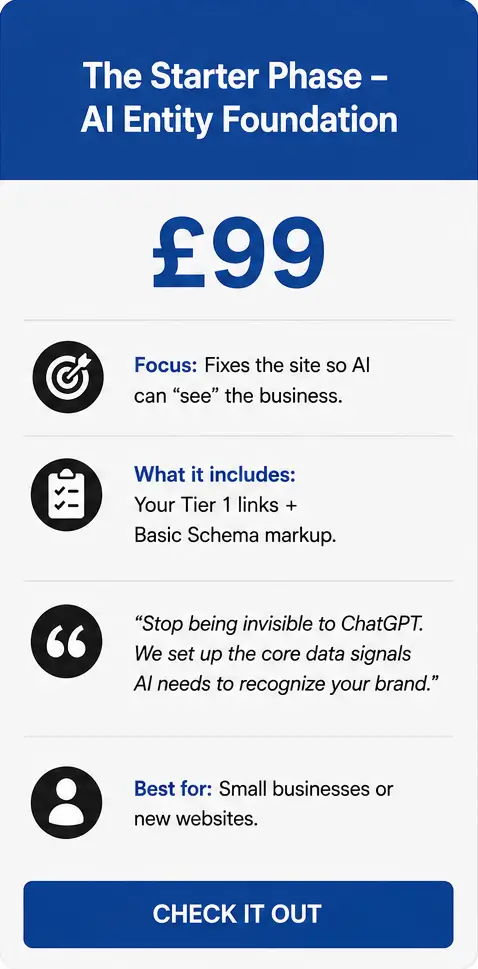 The Starter Phase - AI Entity Foundation