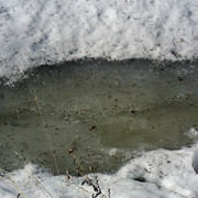 DSC0118 2