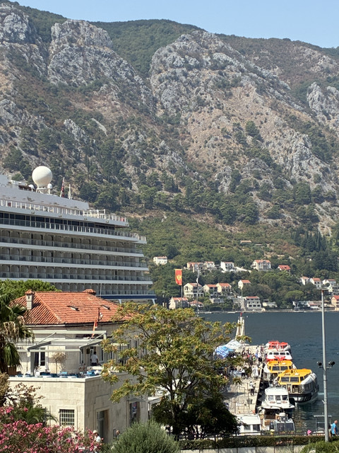 IMG 3978.jpg