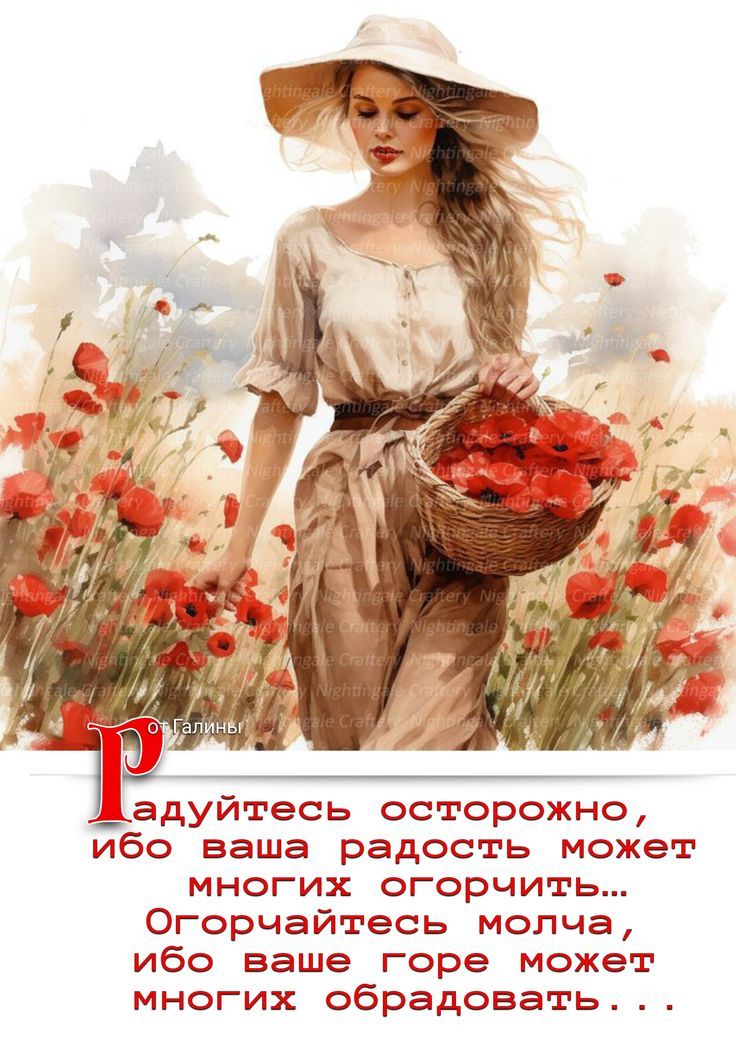 https://i.ibb.co/zTKmpmbj/kbr13a.jpg
