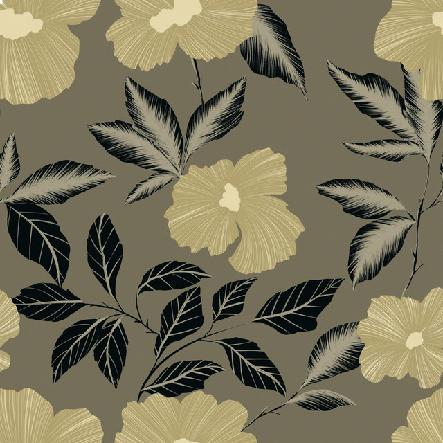 pp (31).jpg