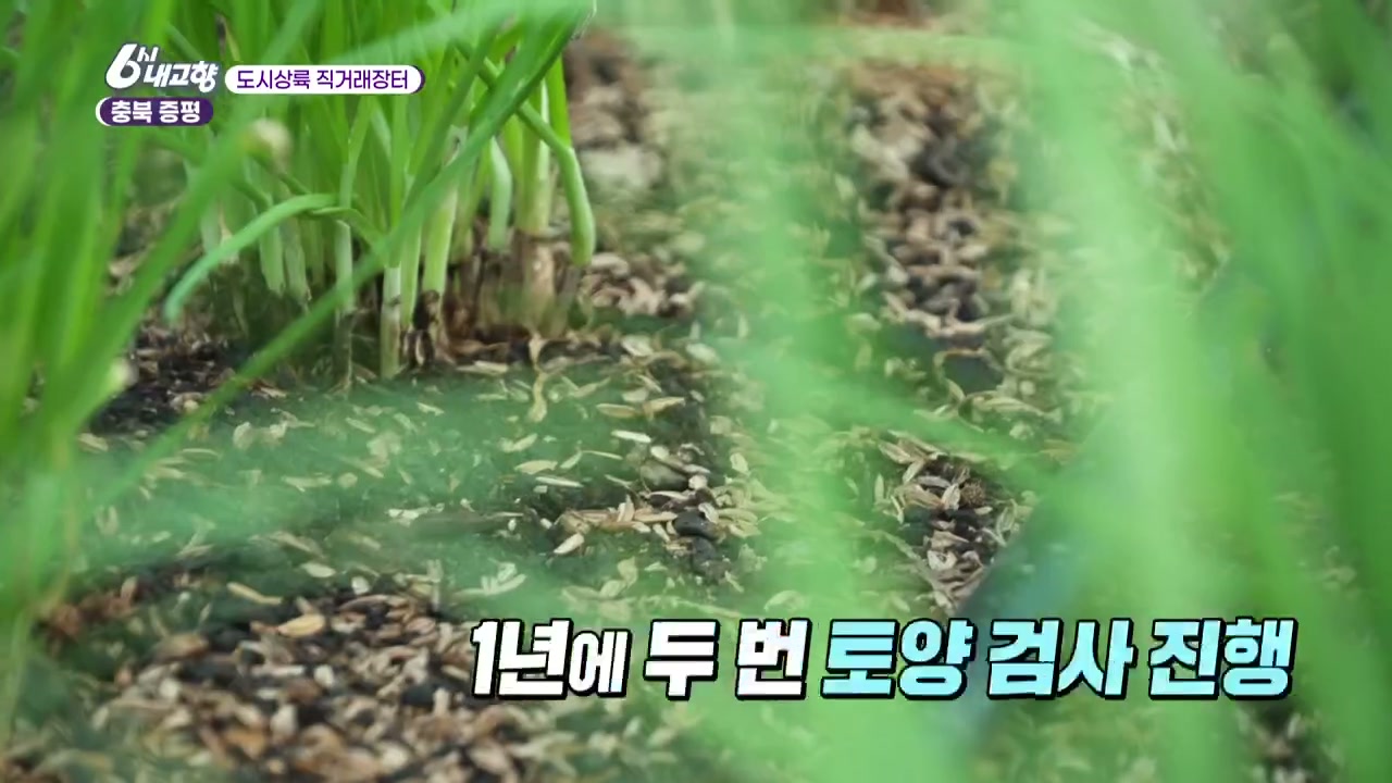 6시내고향 도시상륙 직거래장터 증평 부추 추가 캡처 2