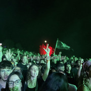 IMG 2935