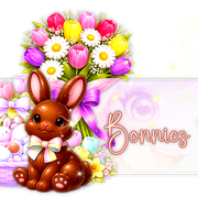 Bonnies 91ºBanner