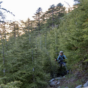 IMG 0838 (2)