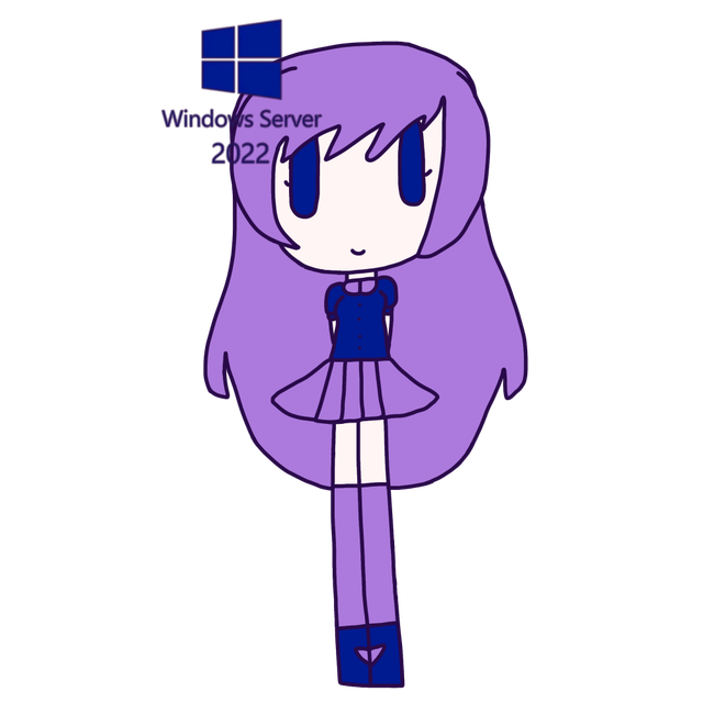 Windows-server-2022-638856143419756874.png