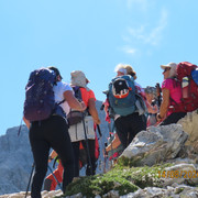 IMG 3062