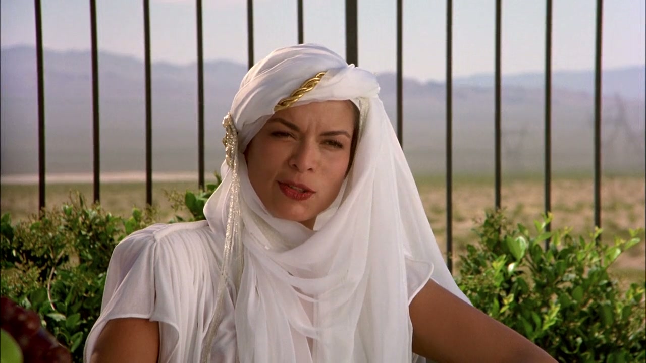 The Cannonball Run Screenshot