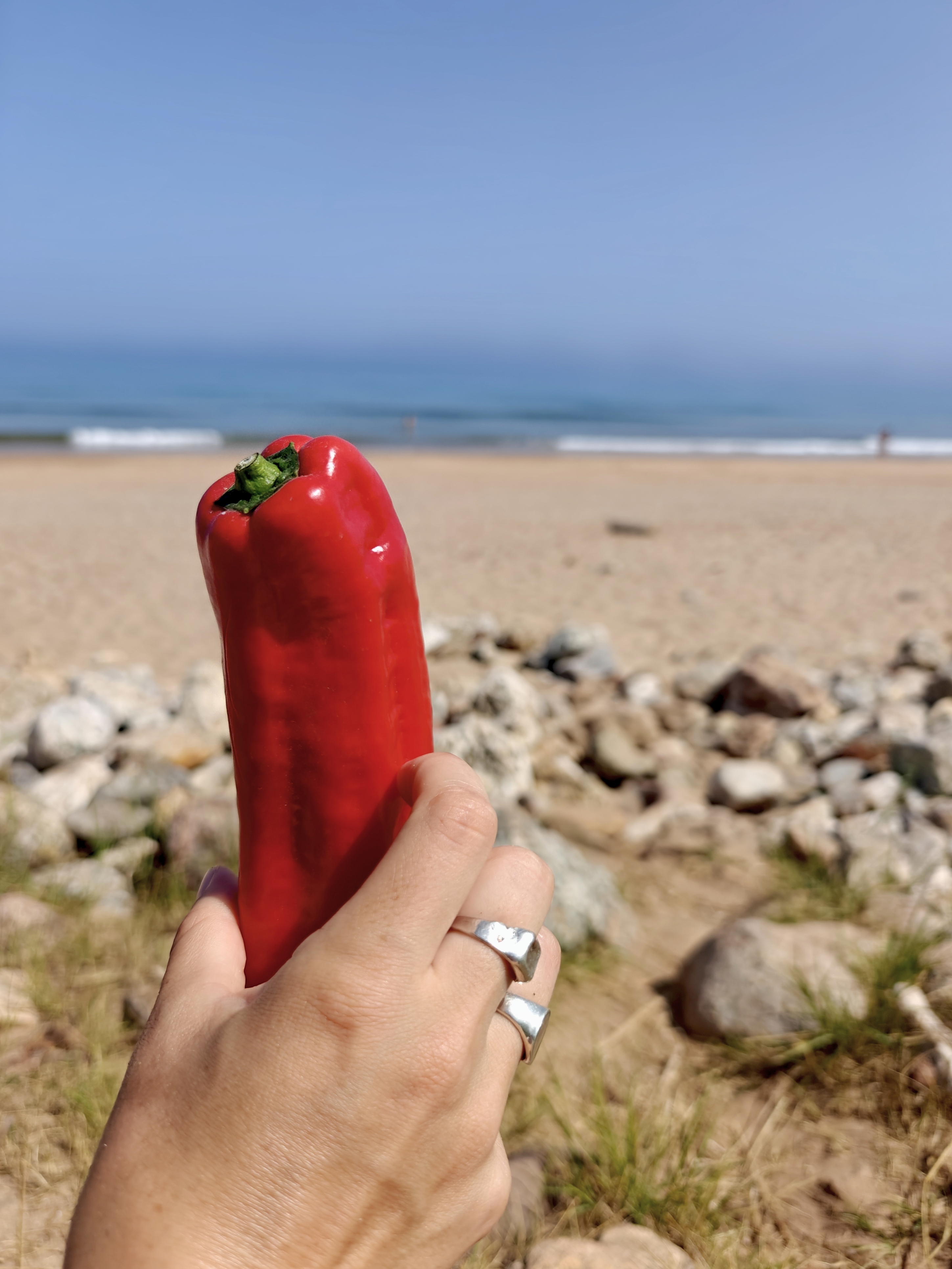 Dag 17 - Ribadesella 🥏 La Isla