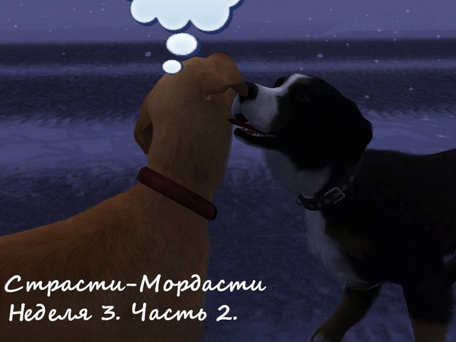Screenshot-444.jpg