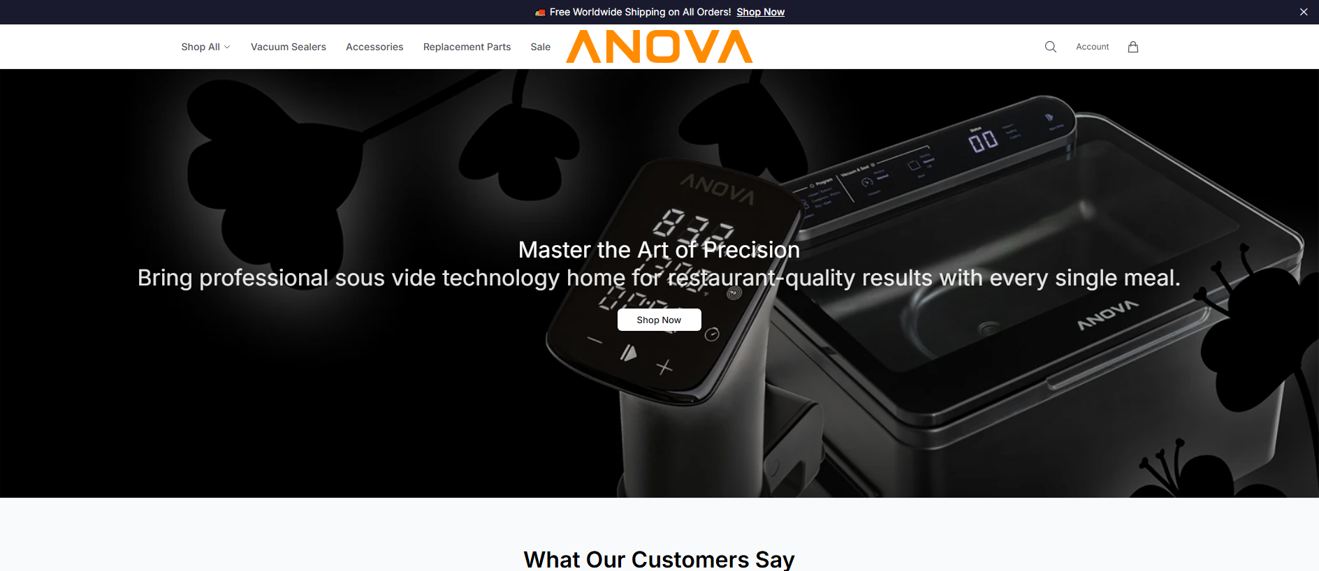 Stored capture of anovaculinaryhq.shop