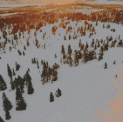 winter3.gif
