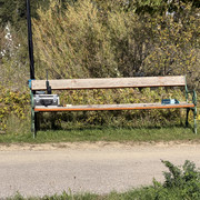 IMG-0242