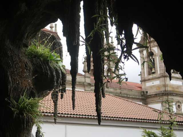 Bom Jesus do Monte.jpg