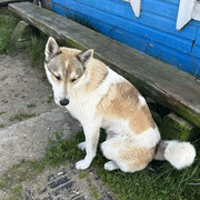 IMG 5371