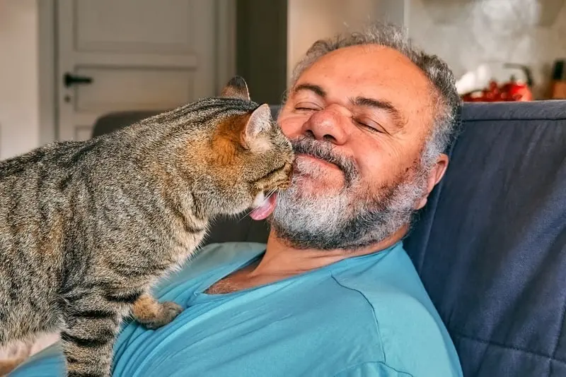 When Cats Ignore Personal Space: Why Their Intrusiveness Is Part of Their Charm