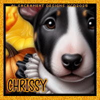 xcd-hb-sd2-avi-chrissy.gif