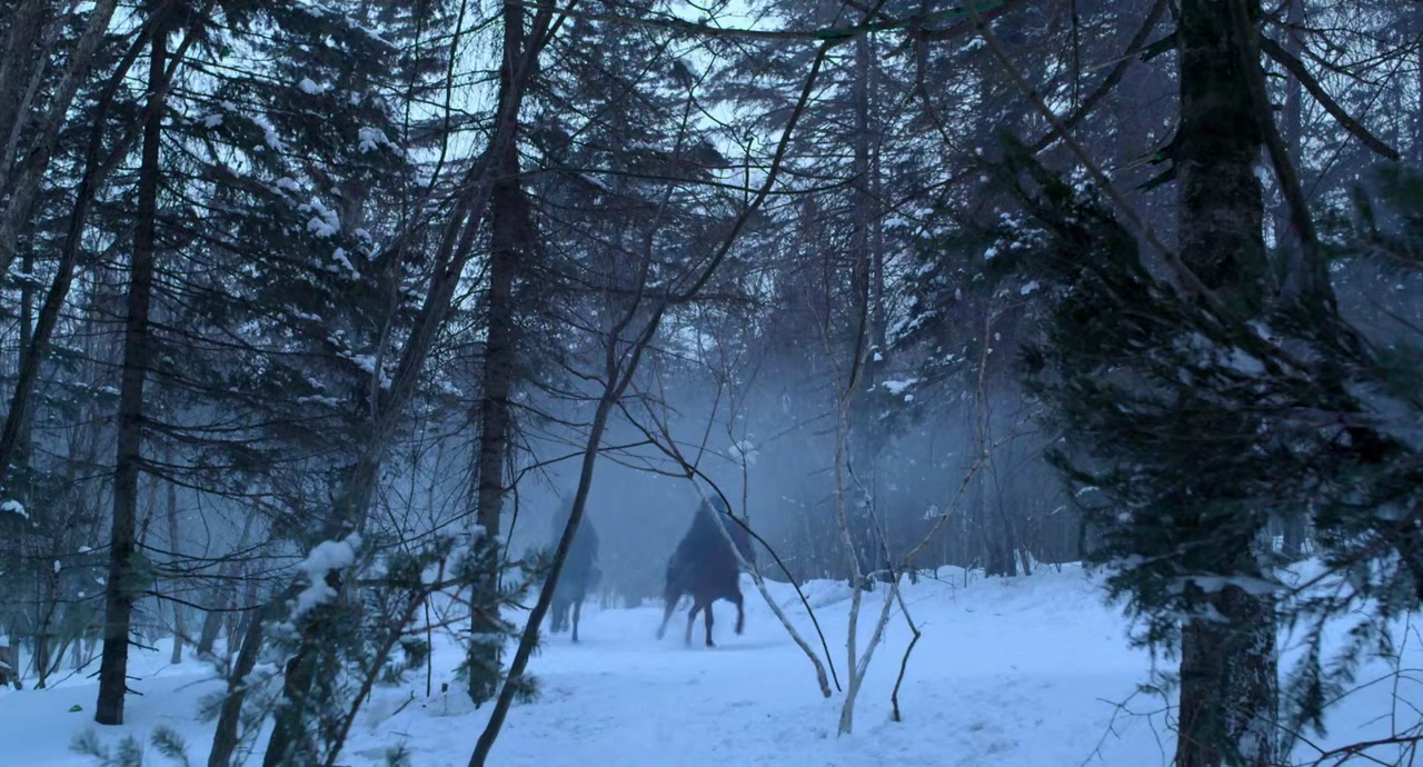 The Taking of Tiger Mountain Screenshot