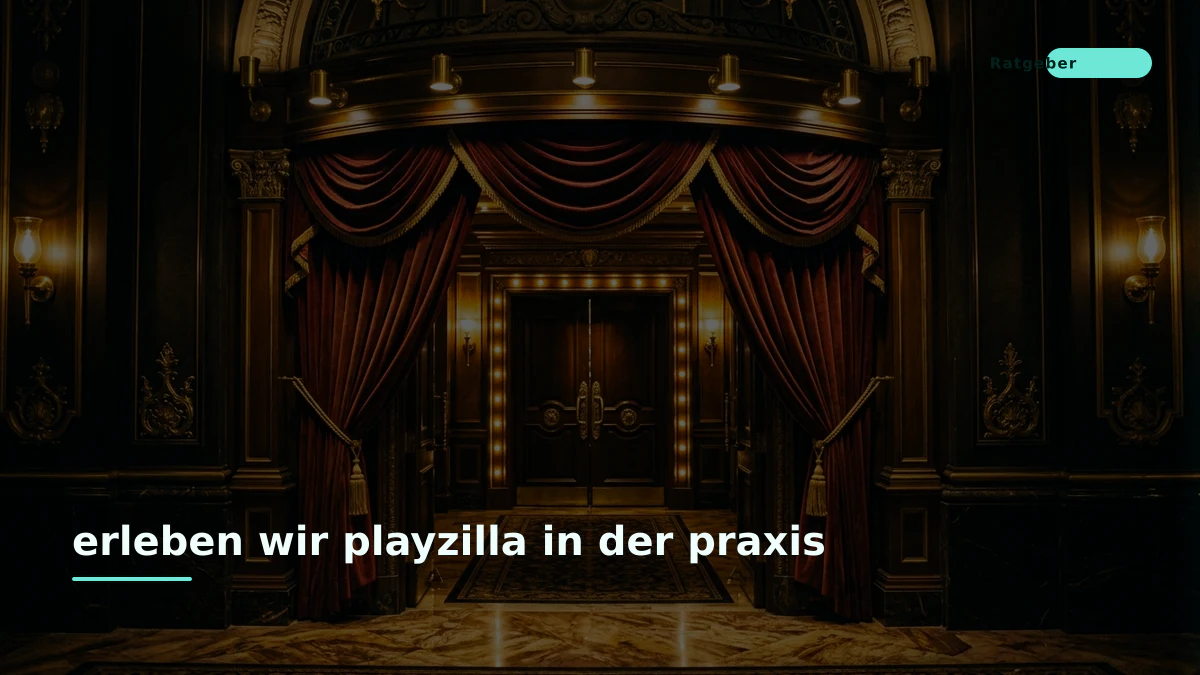 erleben wir playzilla in der praxis