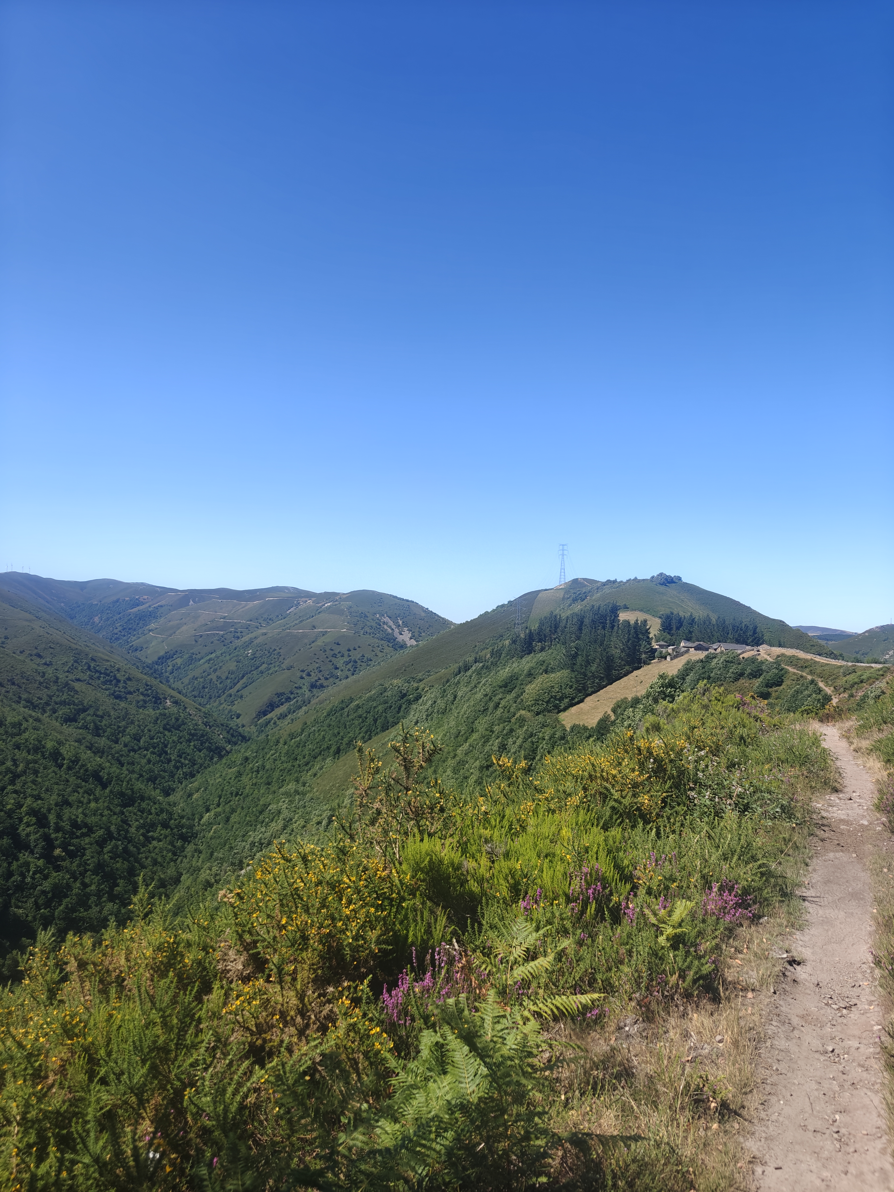 Dag 23 - Borres 🥏 La Mesa 10