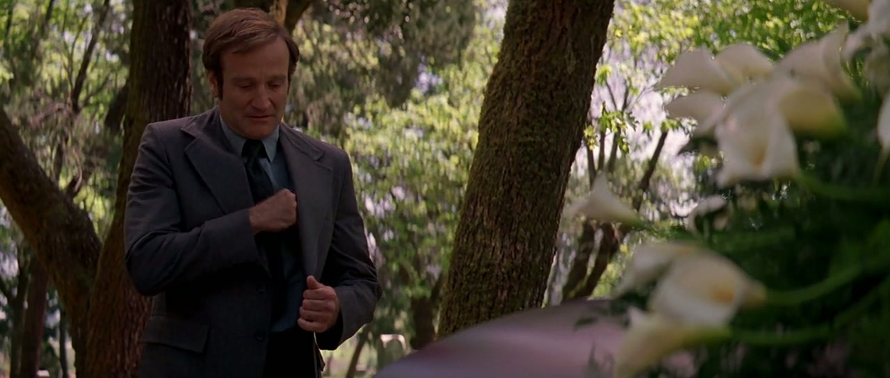 Patch Adams Screenshot