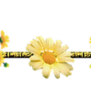 0-9915a-4e948c2c-M