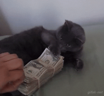orig.gif