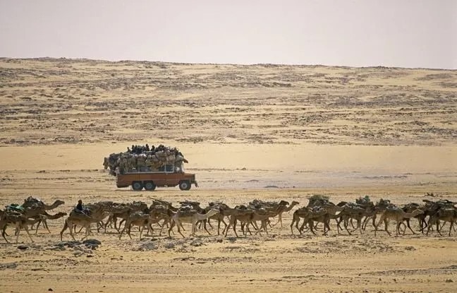Illustration - Niger : 49 personnes meurent de soif dans le désert d'Agadez après la panne d'un camion