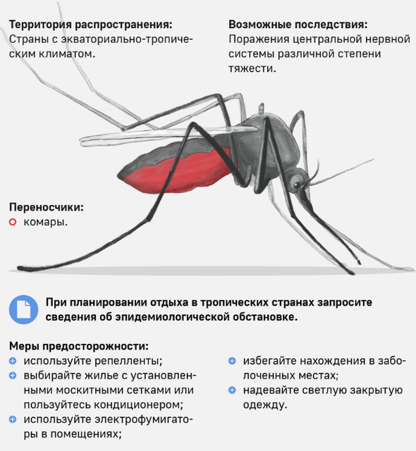 https://i.ibb.co/zV5TJbTg/Screenshot-3.png