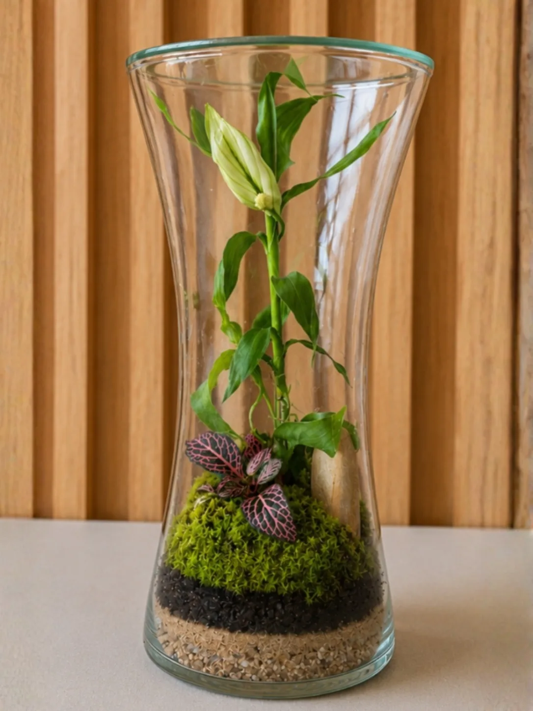 28cm x 13cm