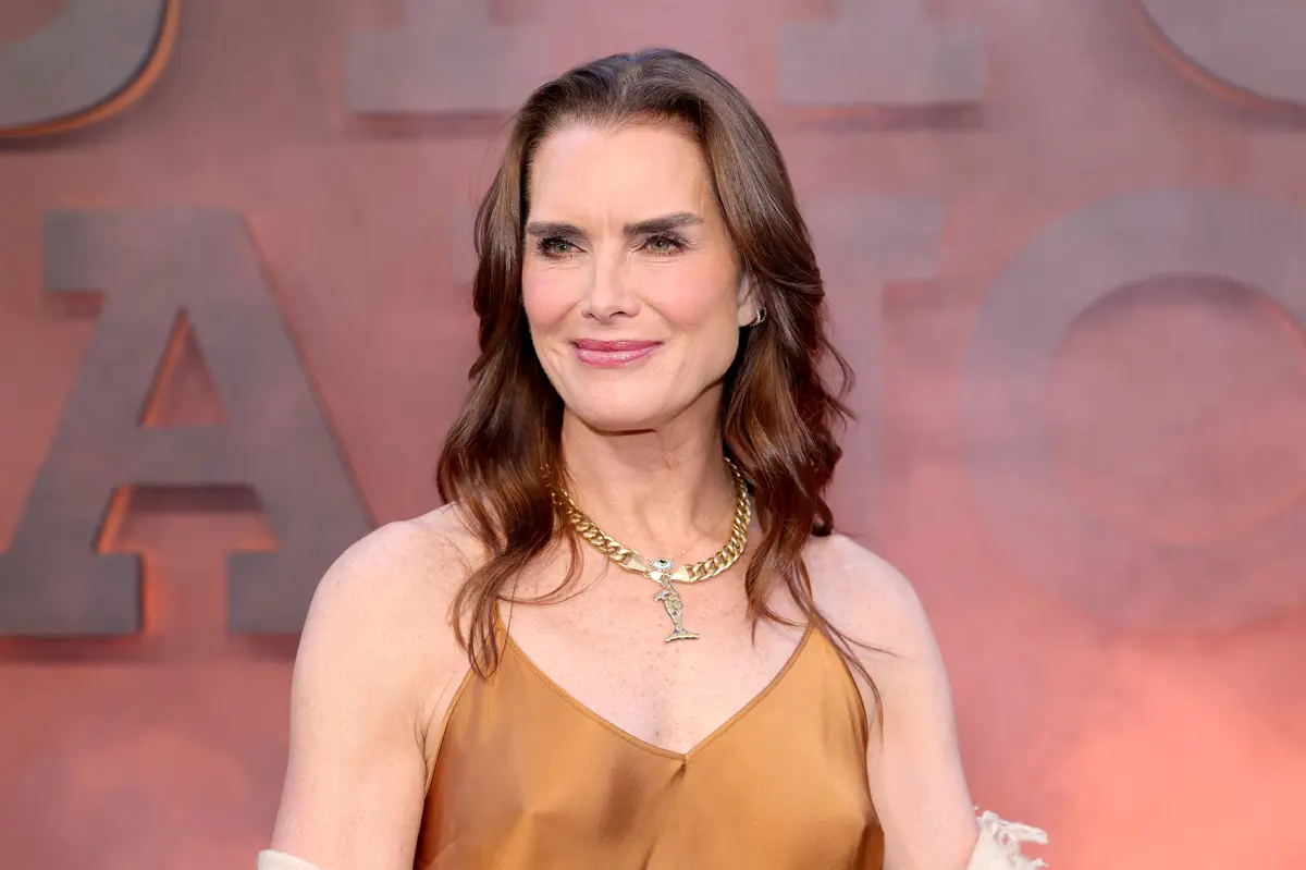 Brooke Shields' Purse is a Masterclass in Practicality