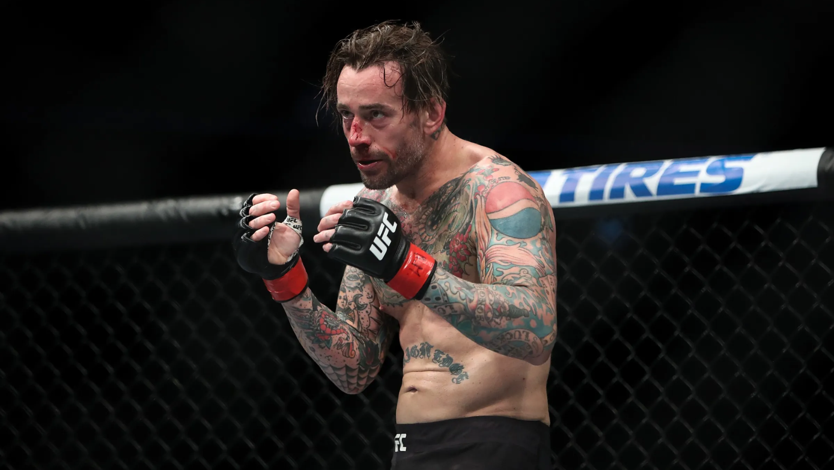 Pasaron por las Artes Marciales Mixtas