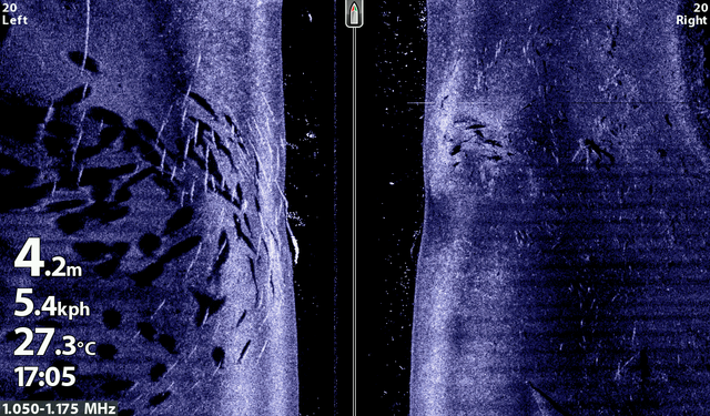 Side Imaging big
