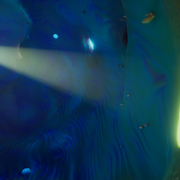 SN2 Screenshot 1