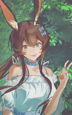 h6.png