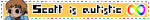 IMG 1103.gif