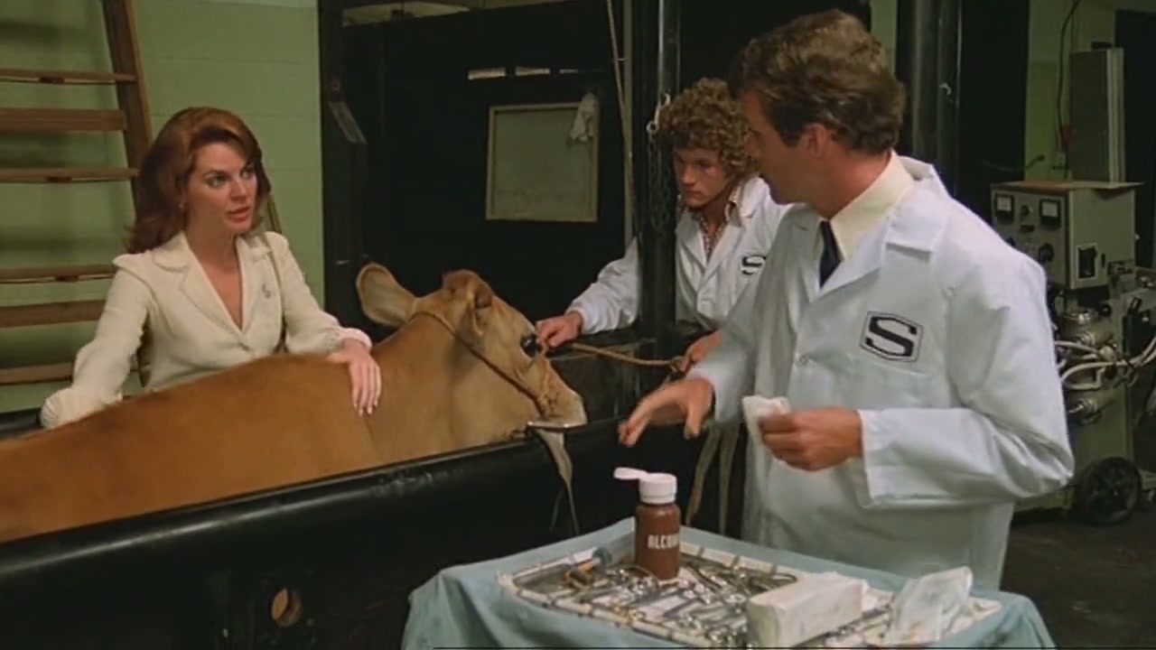 Alligator Screenshot