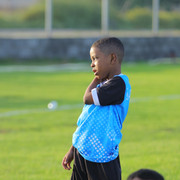 IMG 4451