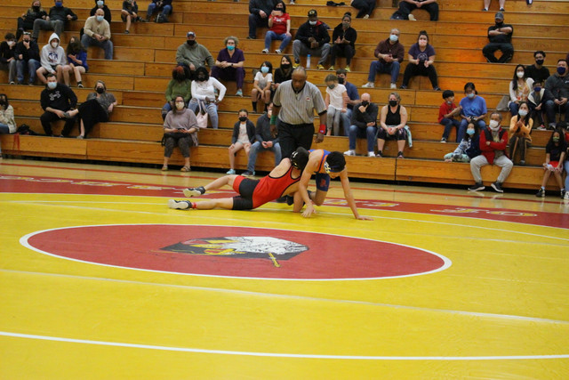 IMG-0283
