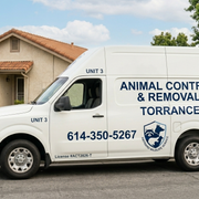 Animal Control Removal Torrance team at work