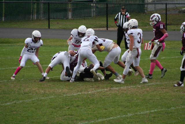 IMG-0678.jpg