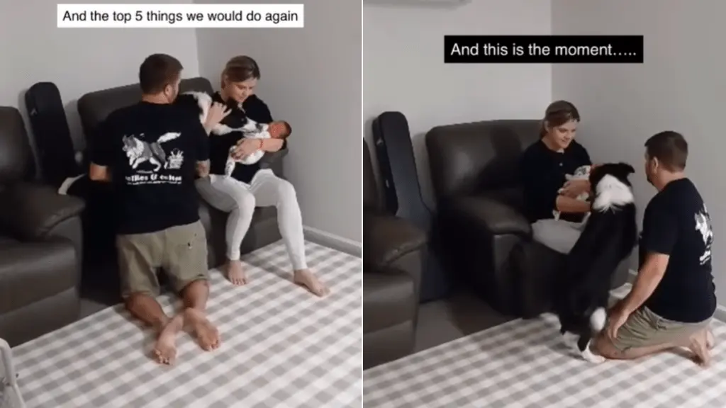 Dog Meets Newborn Brother with Caution