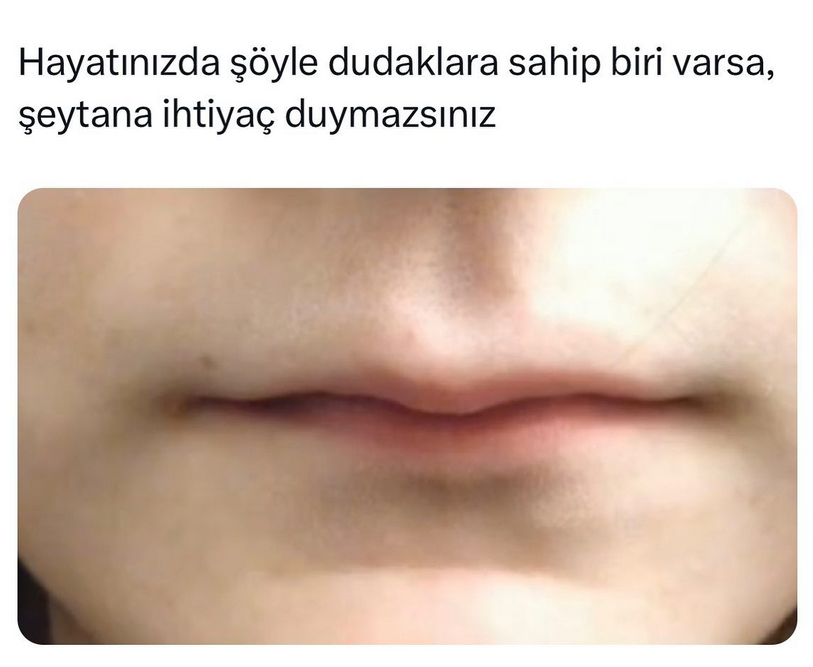 dudak.png