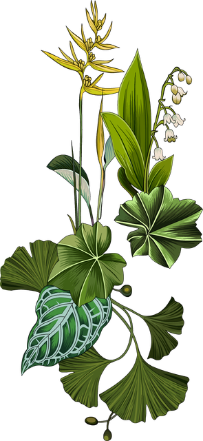 f75216ea7ee8f2b65b6cb5aa2b3f1677.png