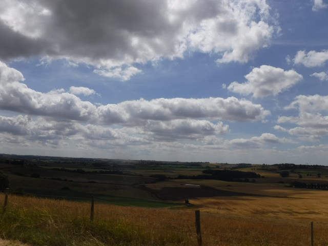 DSCF6172.jpg