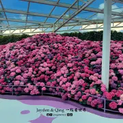 Agro Market16