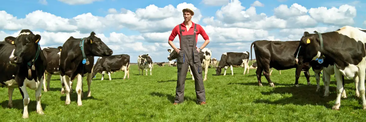 Gezond, biologisch rundvlees direct van de boer - Vleeskopenbijdeboer.nl