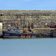 DSF0559