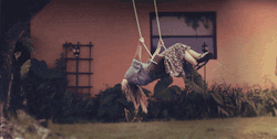 IAdv.gif